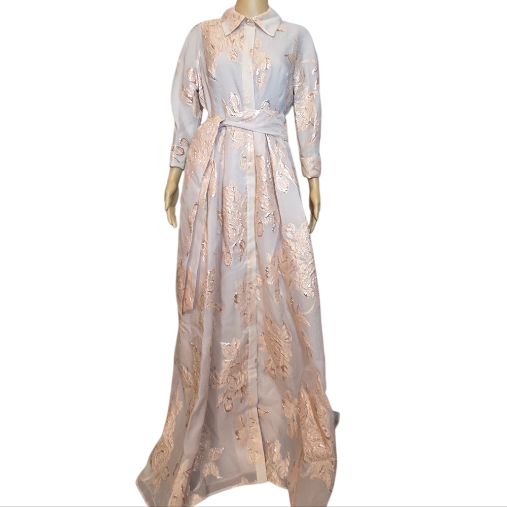 Teri Jon by Rickie Freeman Dress Metallic Jacquard Organza Shirt Waist Gown